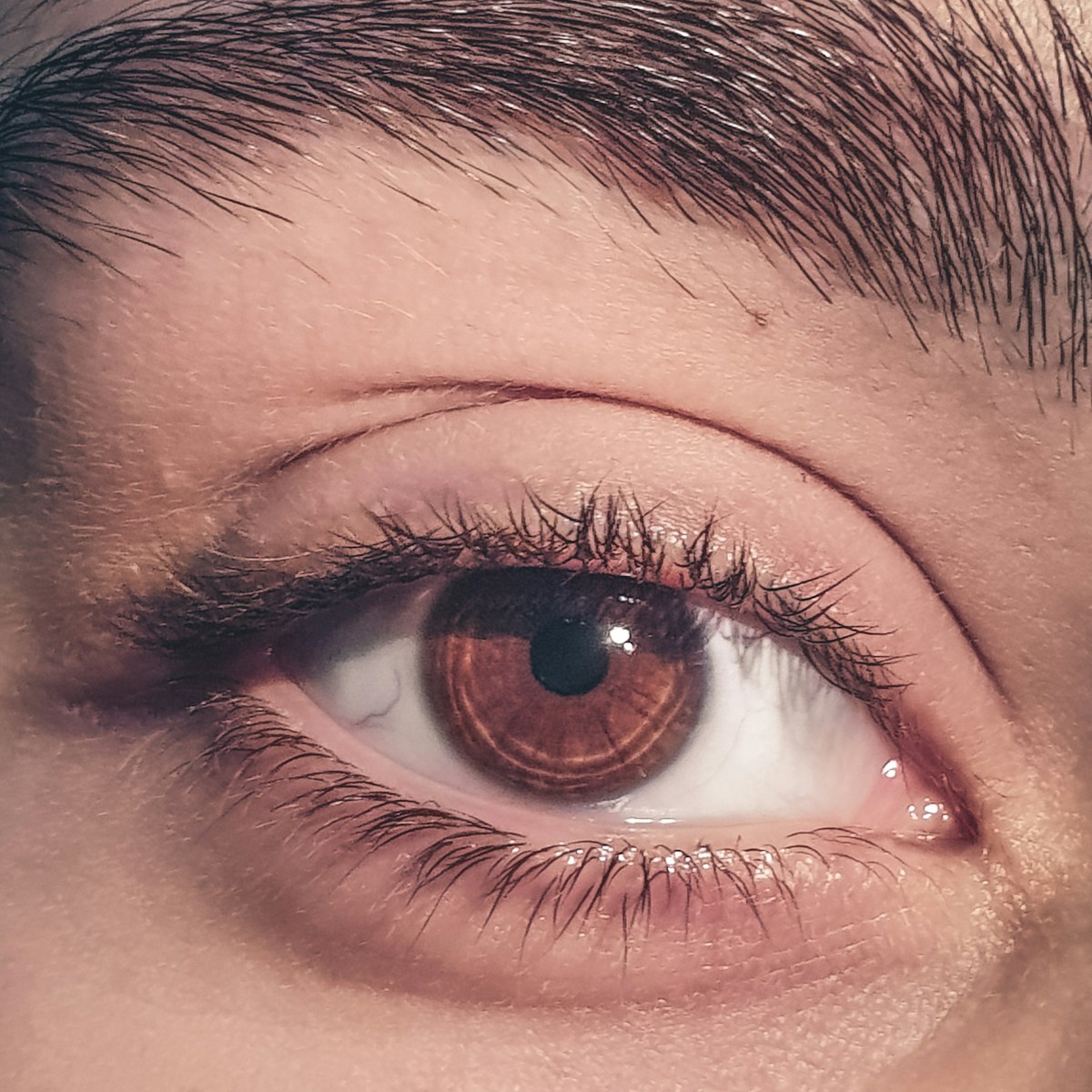 Jalupro Young Eye